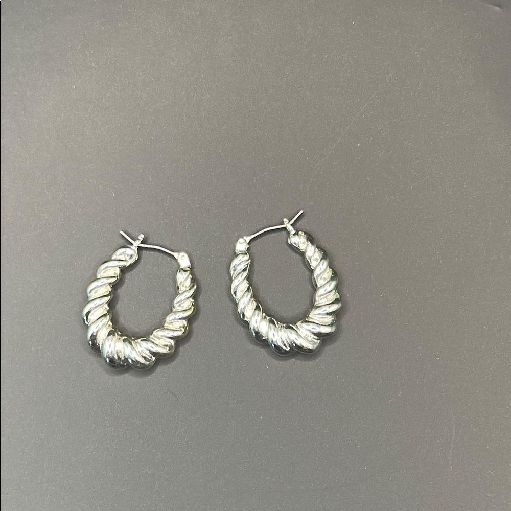 Banana Republic Silver Twisted Hoop Earrings